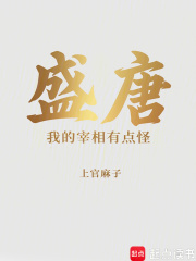  盛唐：刘建军今天要干嘛
